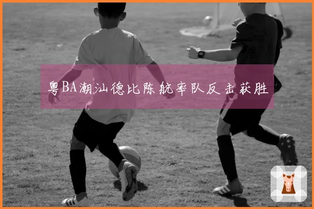 粤BA潮汕德比陈航率队反击获胜