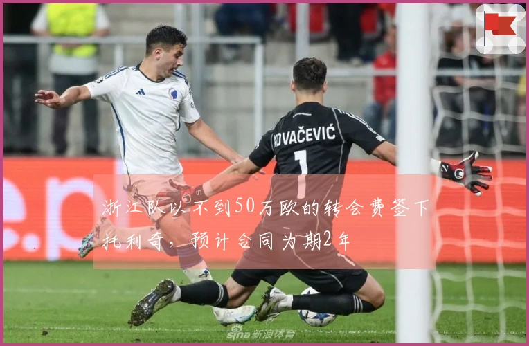 浙江队以不到50万欧的转会费签下托利奇，预计合同为期2年