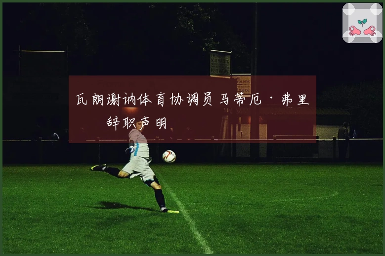 瓦朗谢讷体育协调员马蒂厄·弗里松辞职声明