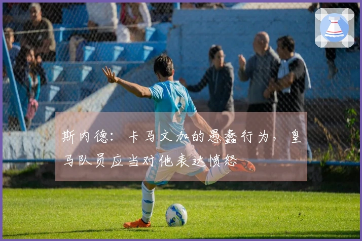 斯内德：卡马文加的愚蠢行为，皇马队员应当对他表达愤怒